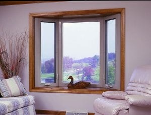 Duck in Bay Window
