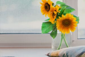 Sunflowers by Window